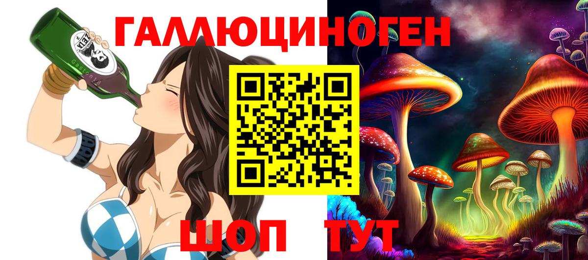 Котельники  Псилоцибиновые грибы Psilocybine cubensis  Вход с VPN 